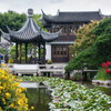 Chinese Garden #1