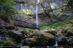 Elowah Falls #1 - Surroundings