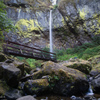 Elowah Falls #1 - Surroundings