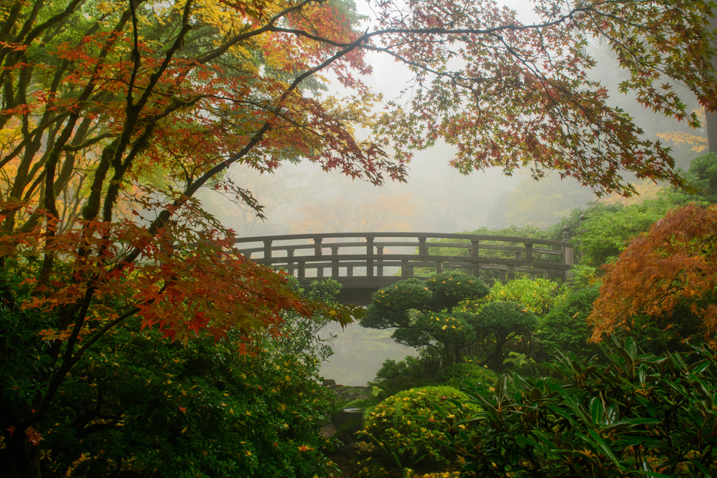 日本の秋・イン・オレゴン #2
