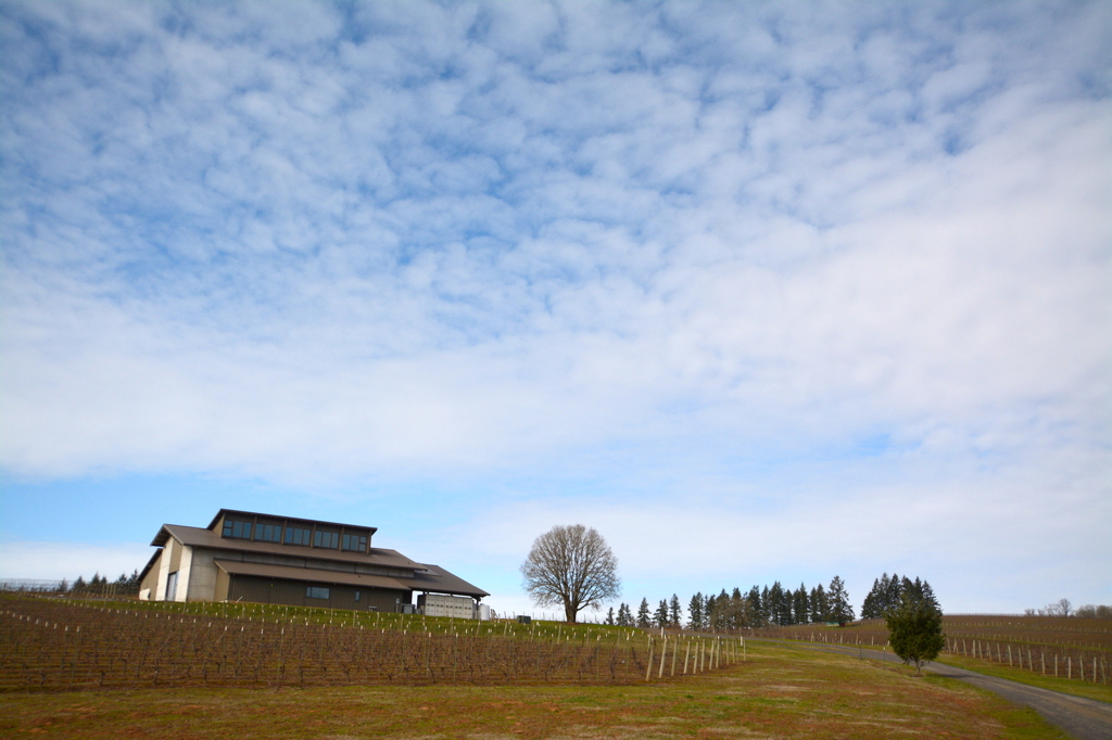 Winery in Willamette Valley #3