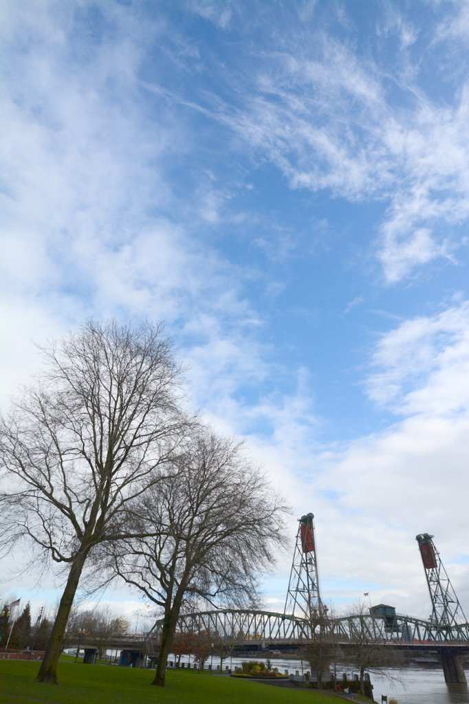 Hawthorne Bridge #3