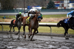 Portland Meadows