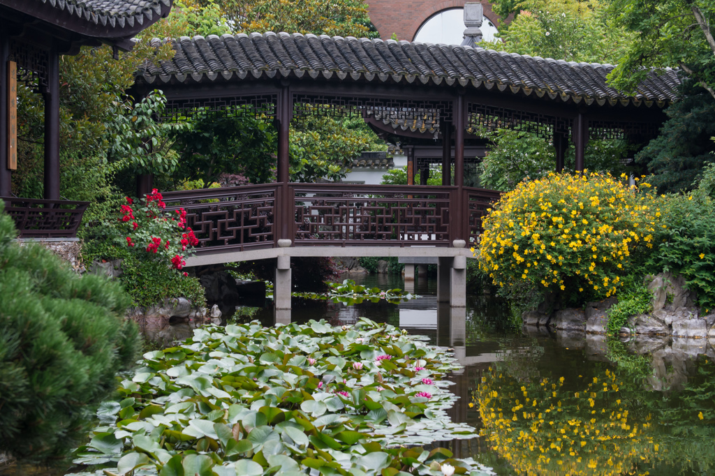 Chinese Garden #3