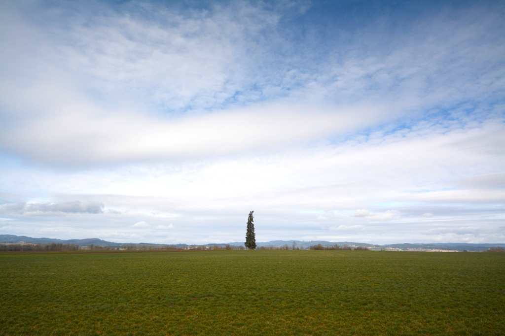 な～んにもありません in Willamette Valley