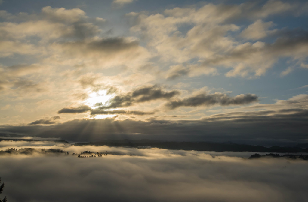 朝、雲海に沈む谷