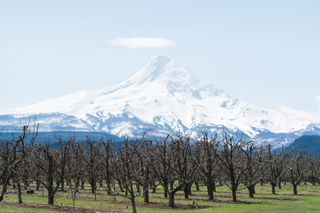 Hood River Fruit Loop #2