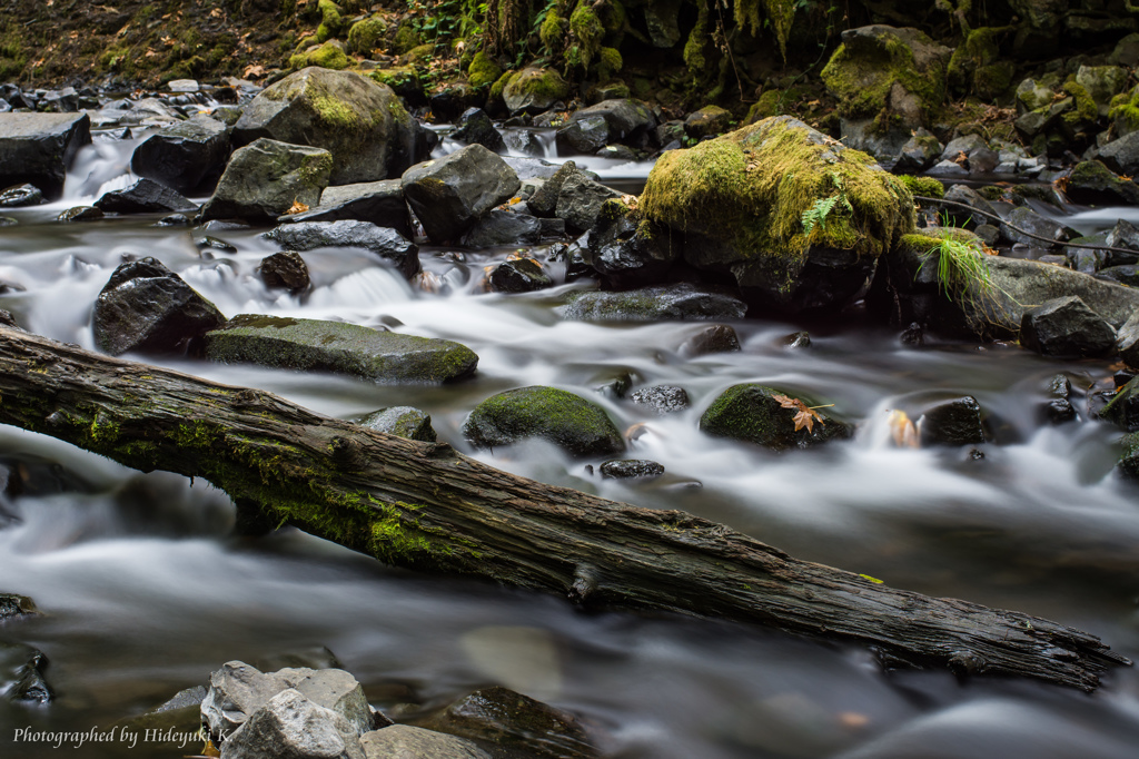 Elowah Falls #3 - Stream