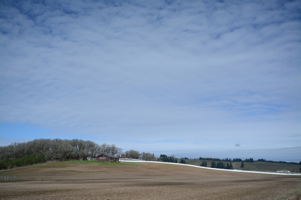 Winery in Willamette Valley #2