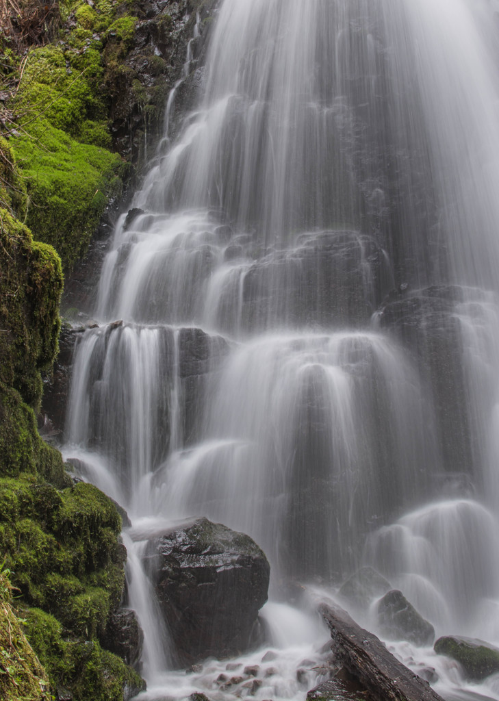 Fairy Falls #2 - On the Trail #5