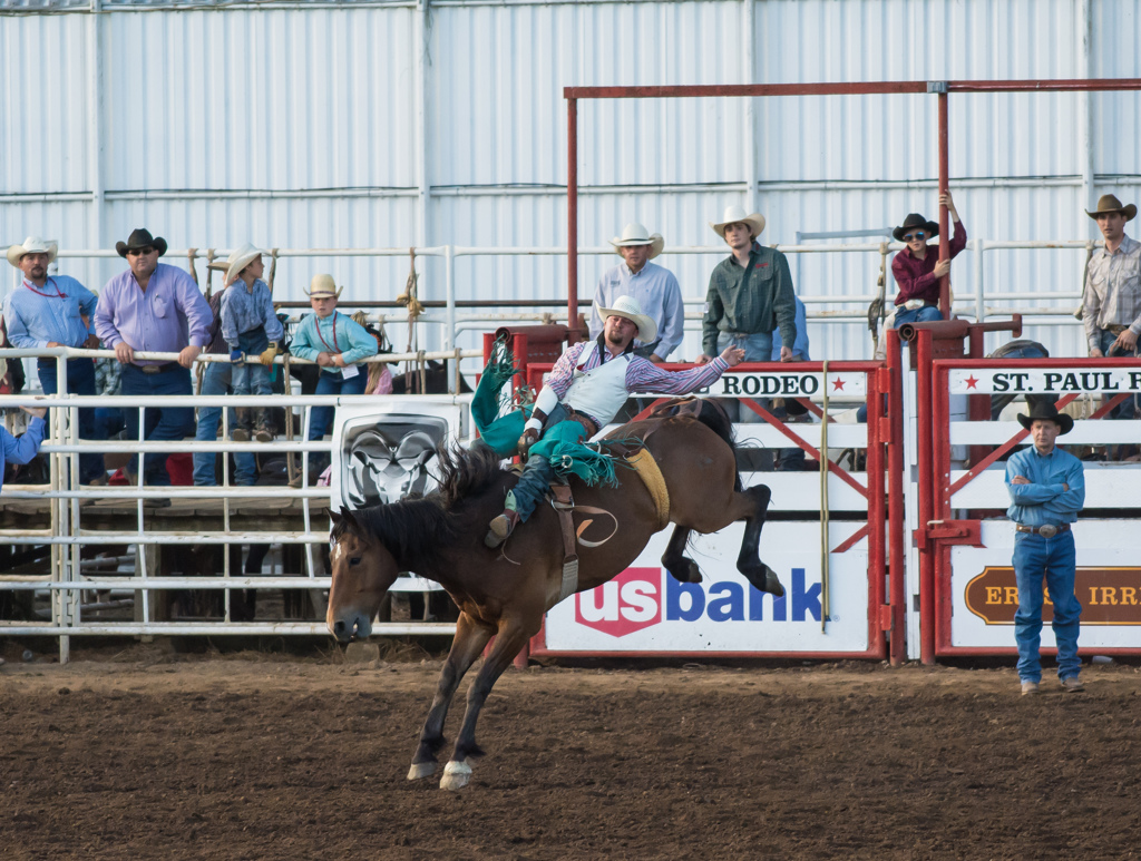 St.Paul Rodeo #3 - Bareback Riding