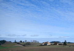 Winery in Willamette Valley #1