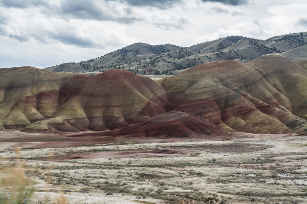 Painted Hills #1