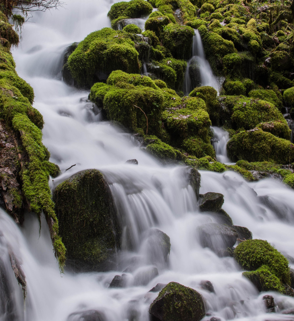 Wahkeena Creek #2 - On the Trail #3