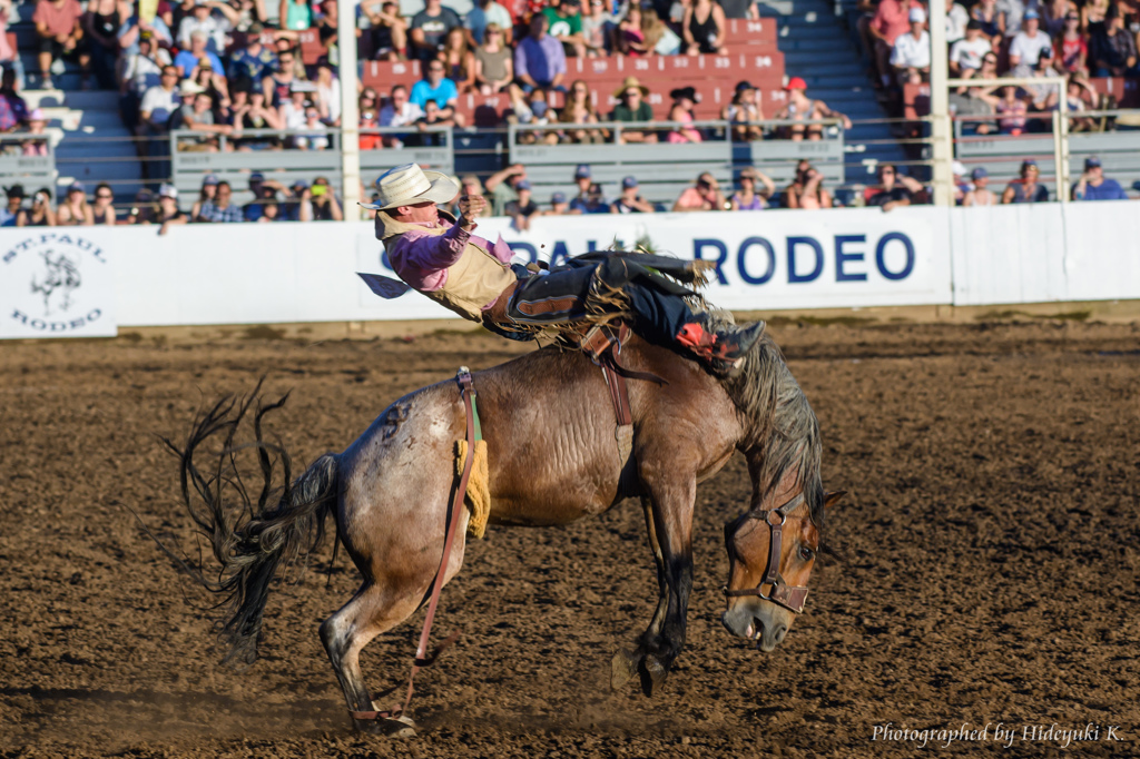 St. Paul Rodeo 2015 #1