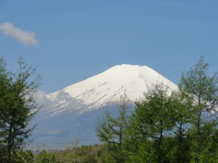 DSC01637