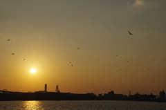 阪神高速湾岸線（夕刻）