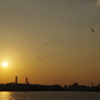 阪神高速湾岸線（夕刻）