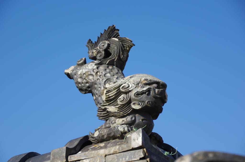 犬（偉い犬）多分・・・・（高田本山）