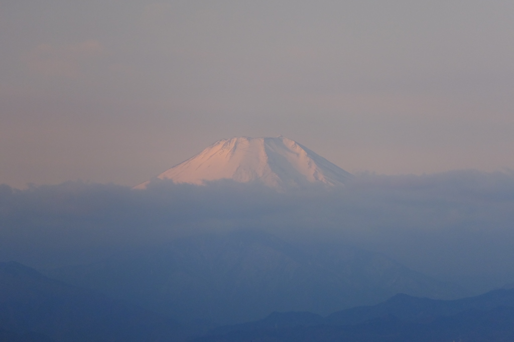 雲上の富士