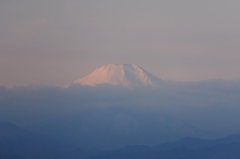 雲上の富士