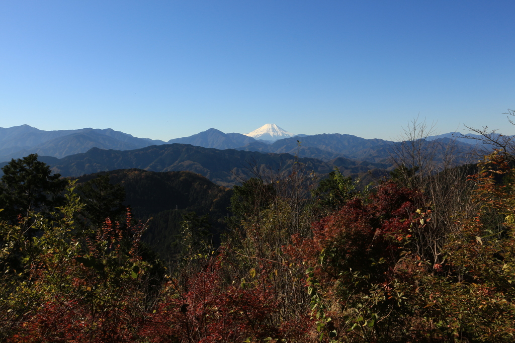 高尾山頂より