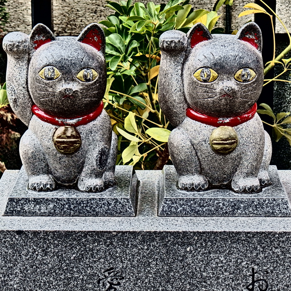 まねき猫