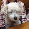 いねむり