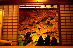 南禅寺天授庵の紅葉