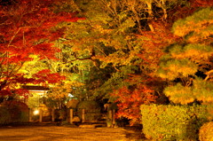 南禅寺天授庵の紅葉