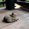 こねこ