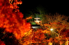 永観堂の紅葉