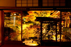 南禅寺天授庵の紅葉