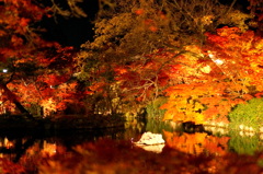 永観堂の紅葉