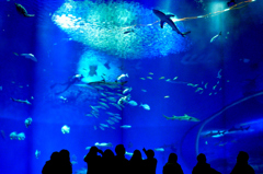 Aquarium