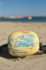 浮きの見つめる先は…