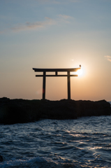 神磯鳥居と日の出（おまけ）