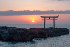 神磯鳥居と日の出(2)