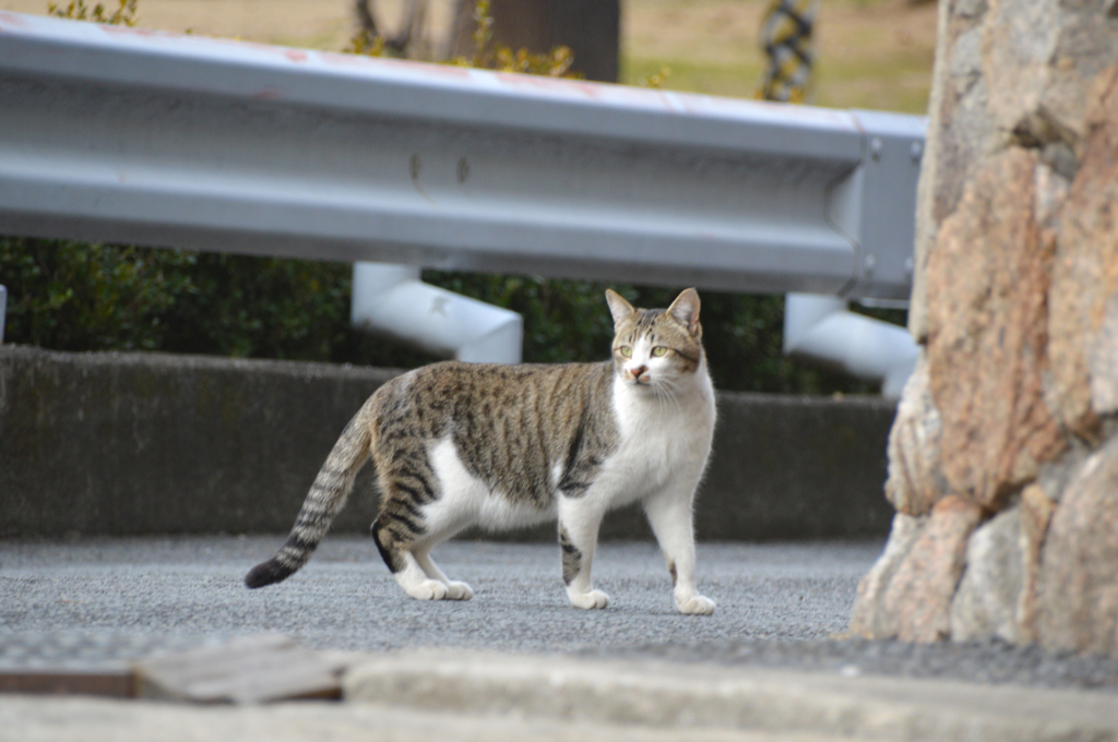 寄るな触るな近づくな