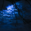 満月の夜に