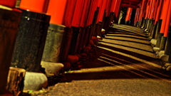 伏見稲荷　千本鳥居　⑦