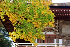 紅葉_三国神社　1