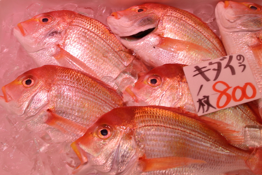 早くボクを買って！