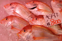 早くボクを買って！
