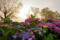 good evening