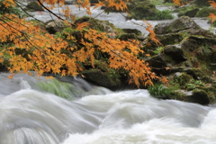 雨後の荒俣峡四景3