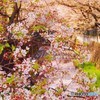 うたかたの夢