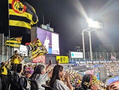 黄色い応援