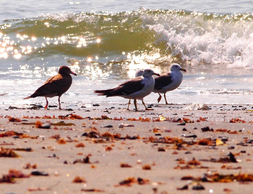 ジェラシー (#^.^#)