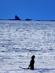 チャコの海岸物語 ♪